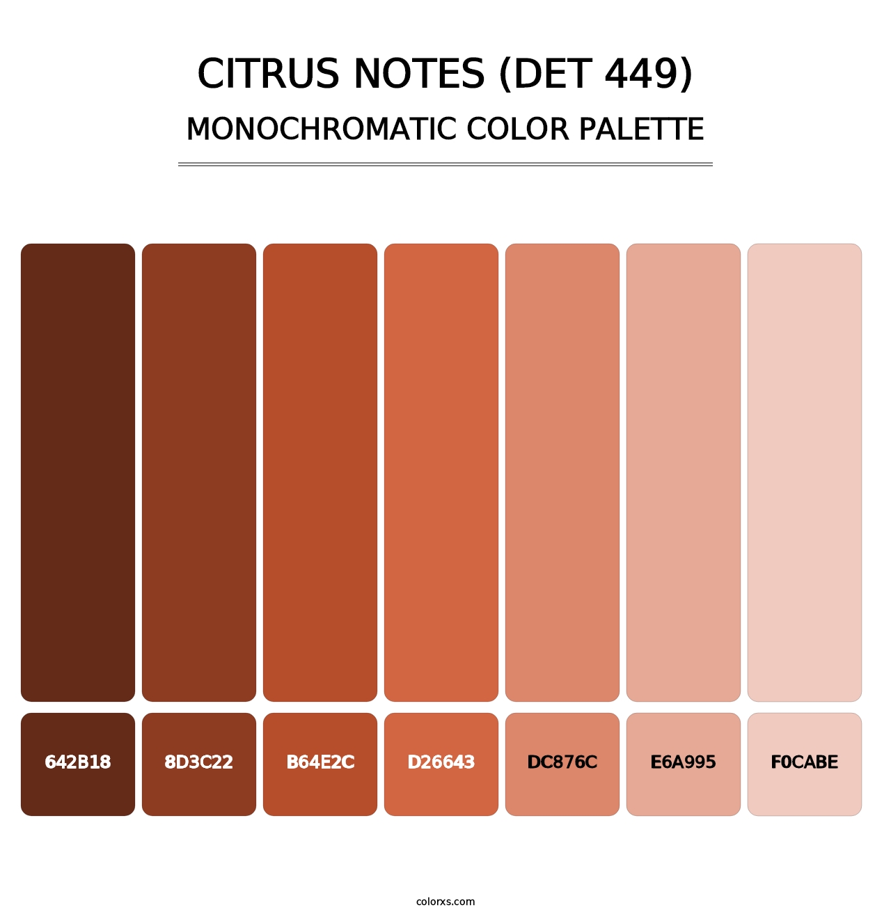 Citrus Notes (DET 449) - Monochromatic Color Palette