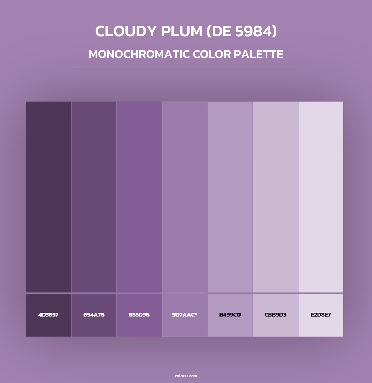 Cloudy Plum (DE 5984) - Monochromatic Color Palette