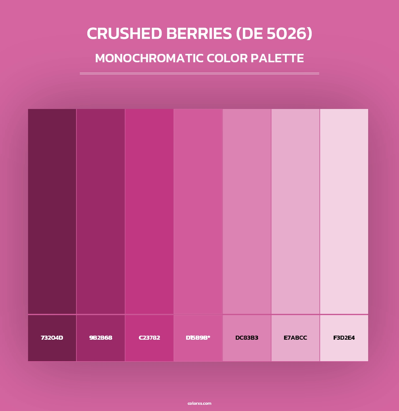 Crushed Berries (DE 5026) - Monochromatic Color Palette