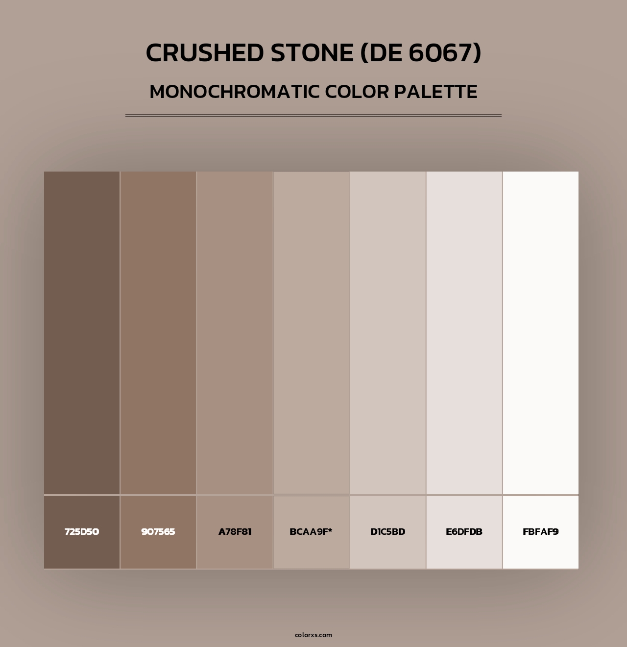 Crushed Stone (DE 6067) - Monochromatic Color Palette