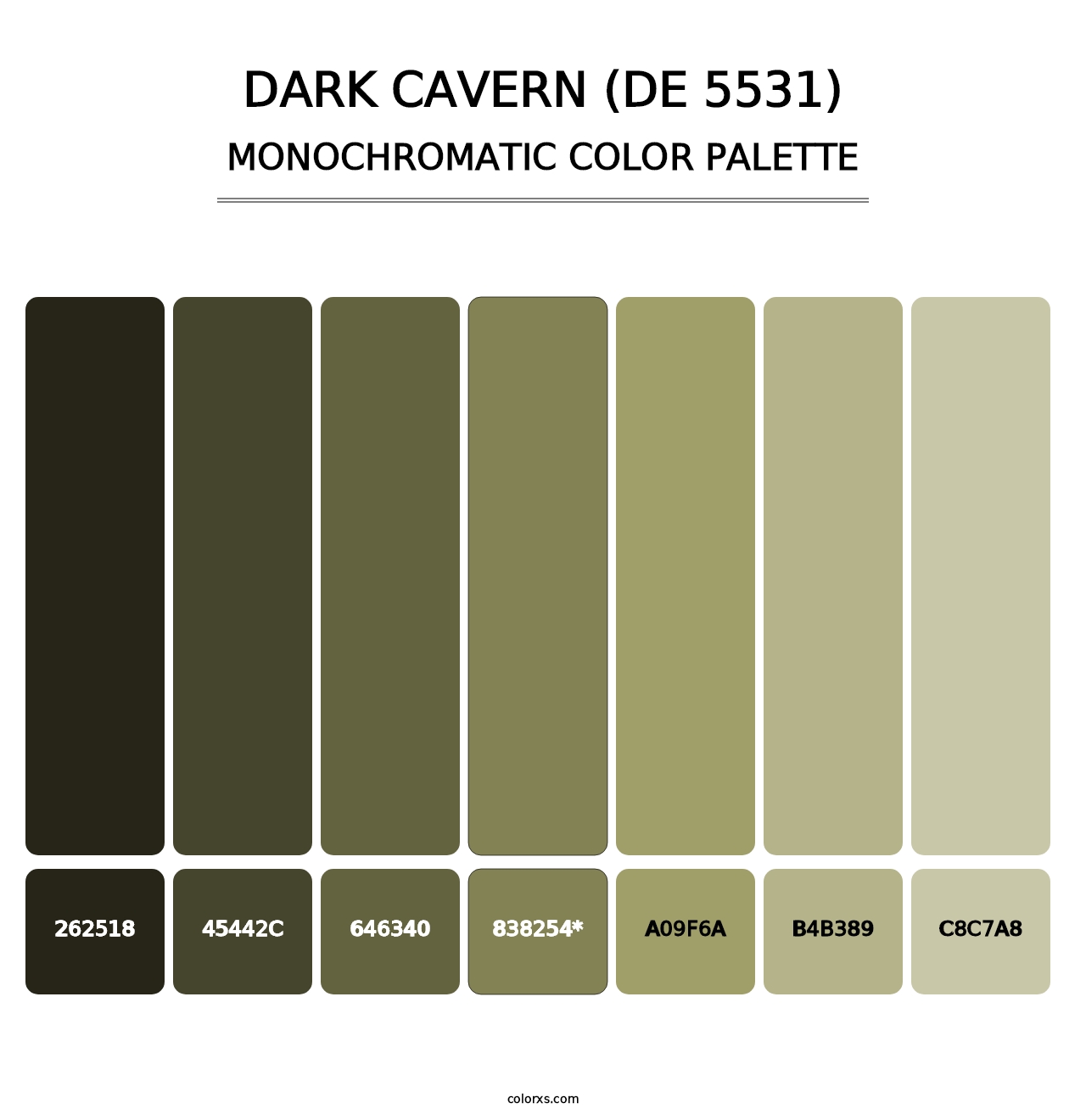 Dark Cavern (DE 5531) - Monochromatic Color Palette