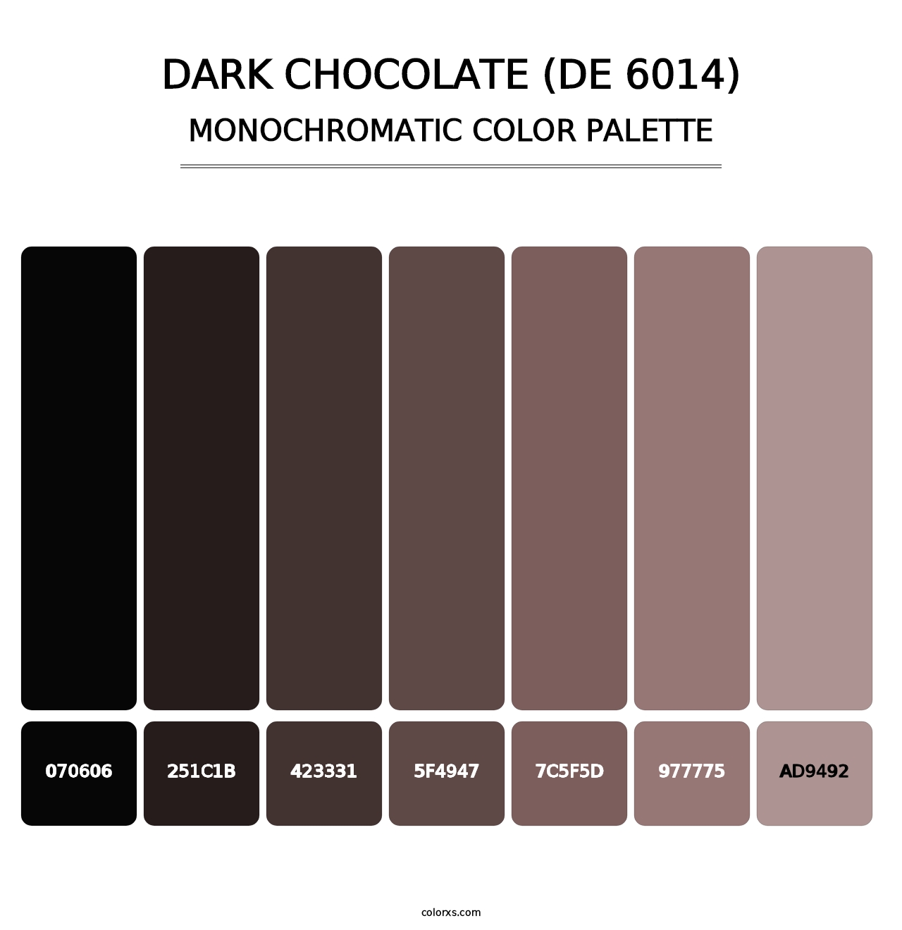 Dark Chocolate (DE 6014) - Monochromatic Color Palette