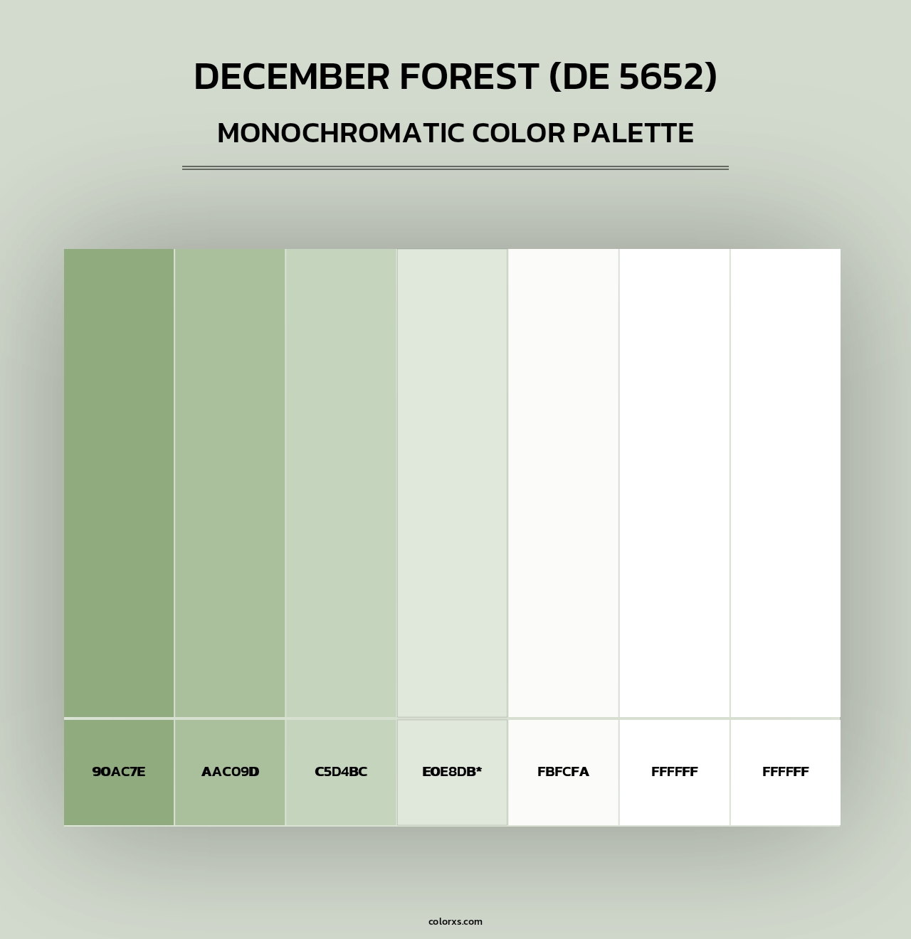 December Forest (DE 5652) - Monochromatic Color Palette