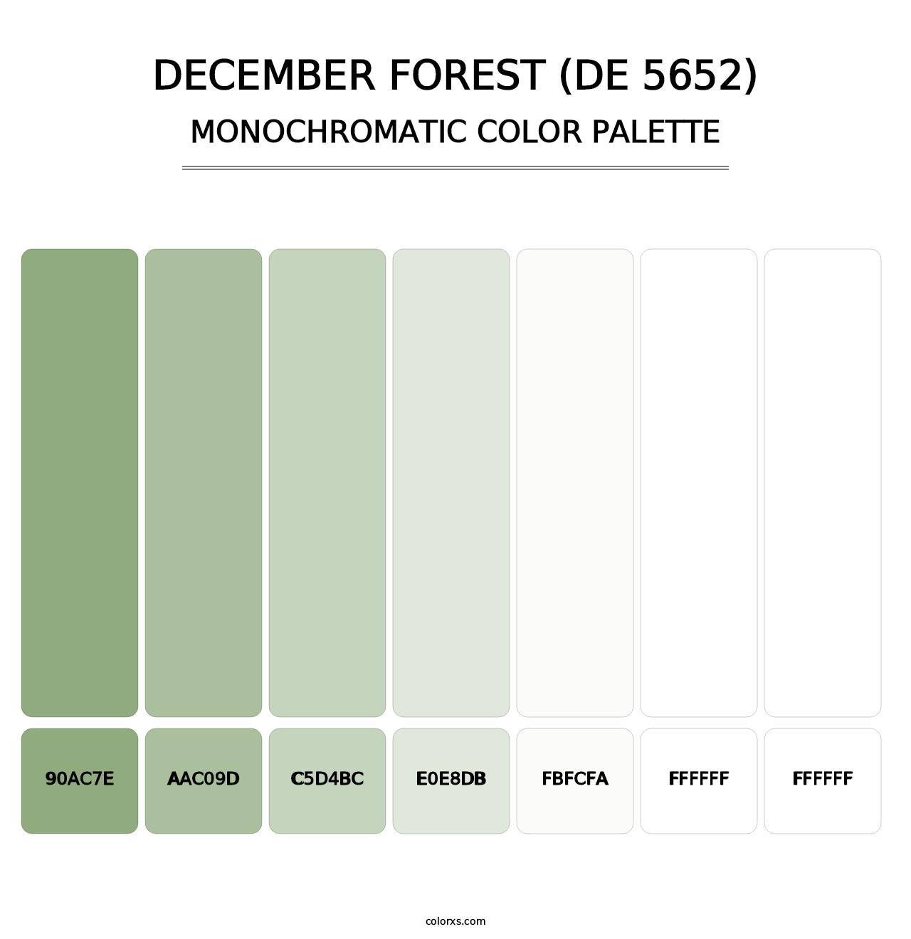 December Forest (DE 5652) - Monochromatic Color Palette