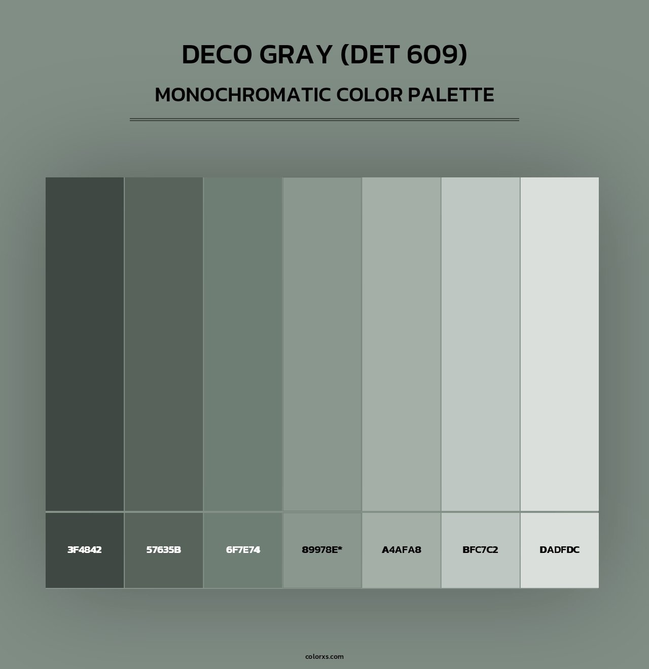 Deco Gray (DET 609) - Monochromatic Color Palette