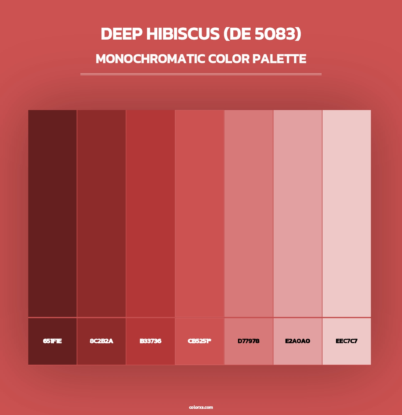 Deep Hibiscus (DE 5083) - Monochromatic Color Palette