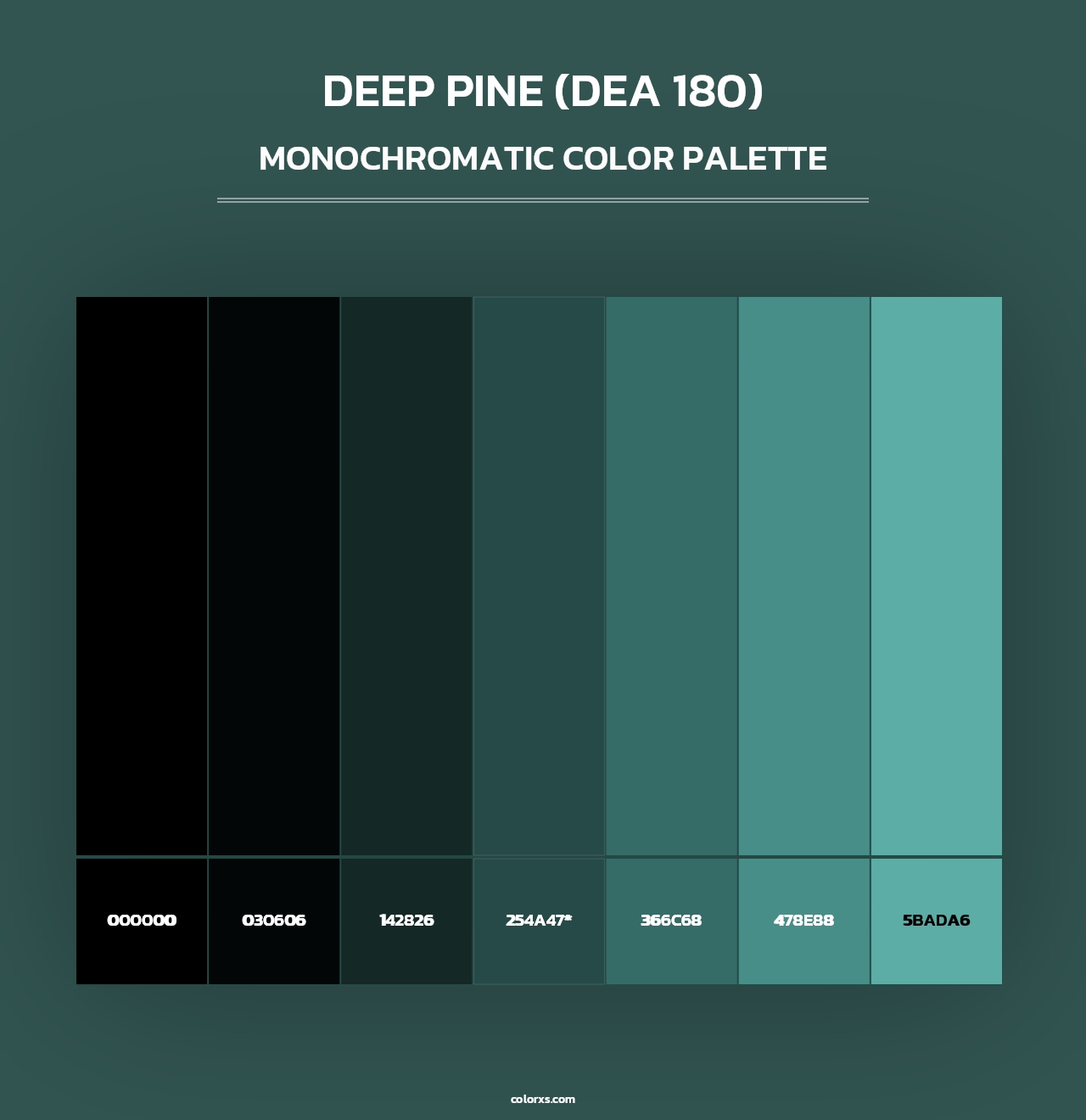 Deep Pine (DEA 180) - Monochromatic Color Palette