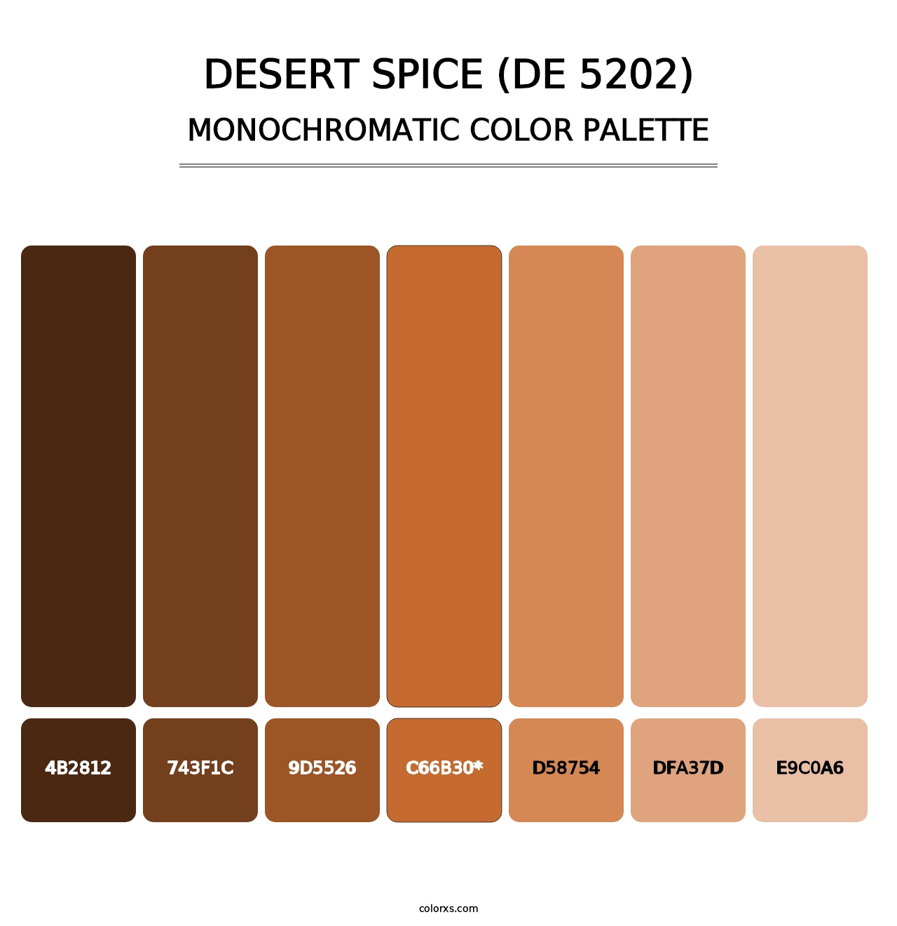 Desert Spice (DE 5202) - Monochromatic Color Palette