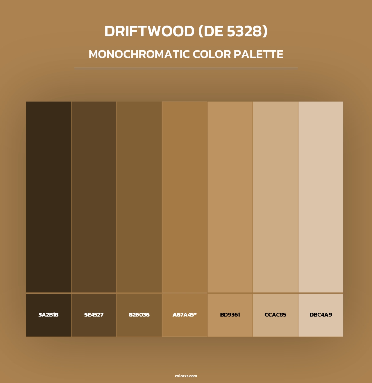 Driftwood (DE 5328) - Monochromatic Color Palette