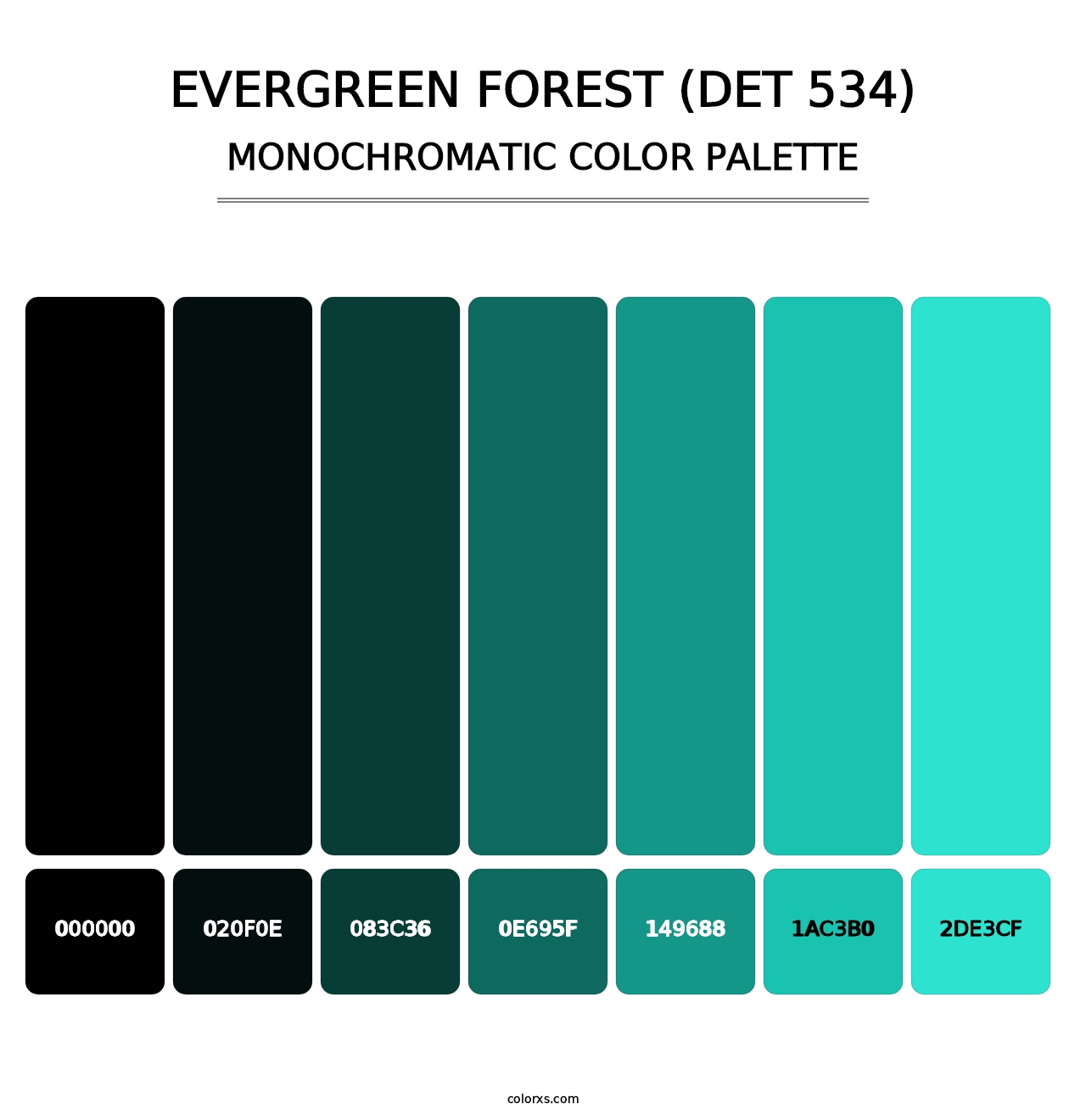 Evergreen Forest (DET 534) - Monochromatic Color Palette