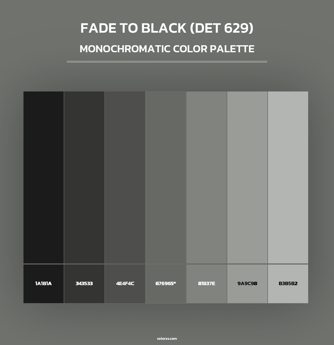 Fade to Black (DET 629) - Monochromatic Color Palette