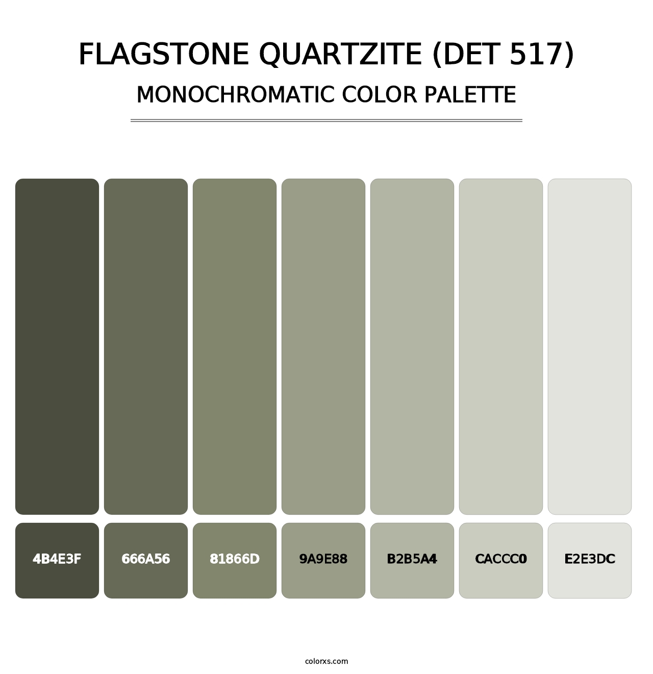 Flagstone Quartzite (DET 517) - Monochromatic Color Palette