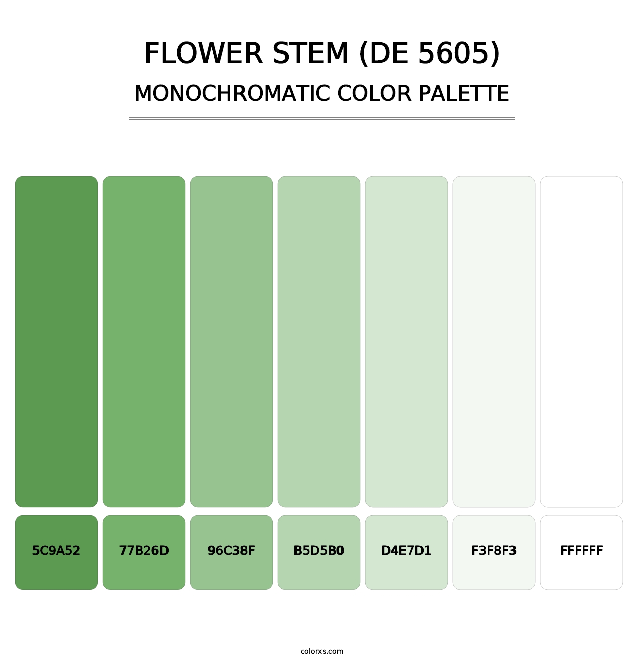 Flower Stem (DE 5605) - Monochromatic Color Palette