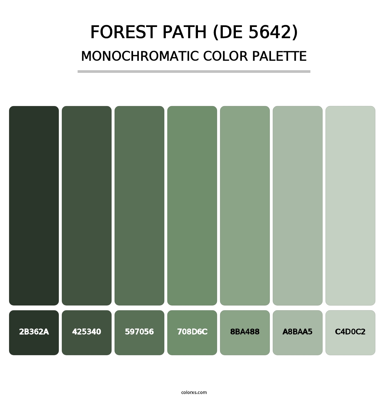 Forest Path (DE 5642) - Monochromatic Color Palette
