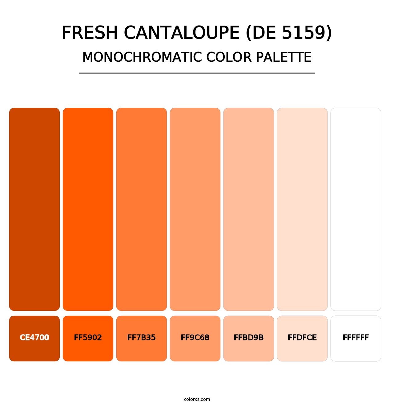 Fresh Cantaloupe (DE 5159) - Monochromatic Color Palette