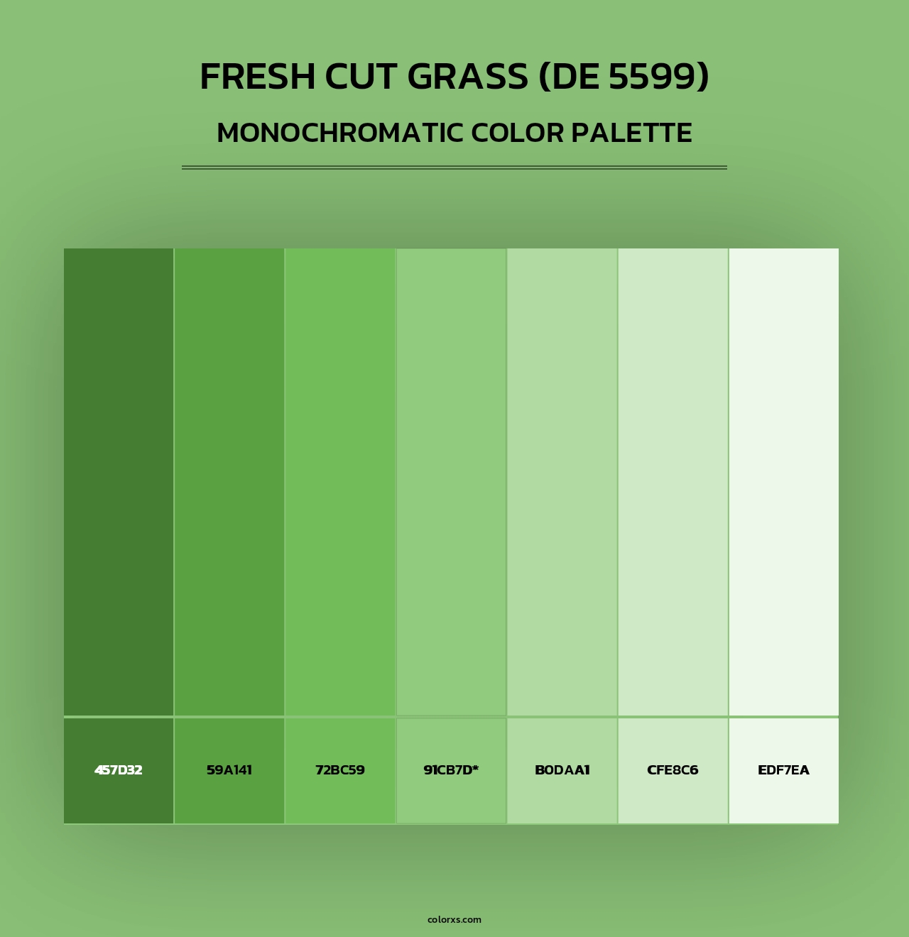 Fresh Cut Grass (DE 5599) - Monochromatic Color Palette