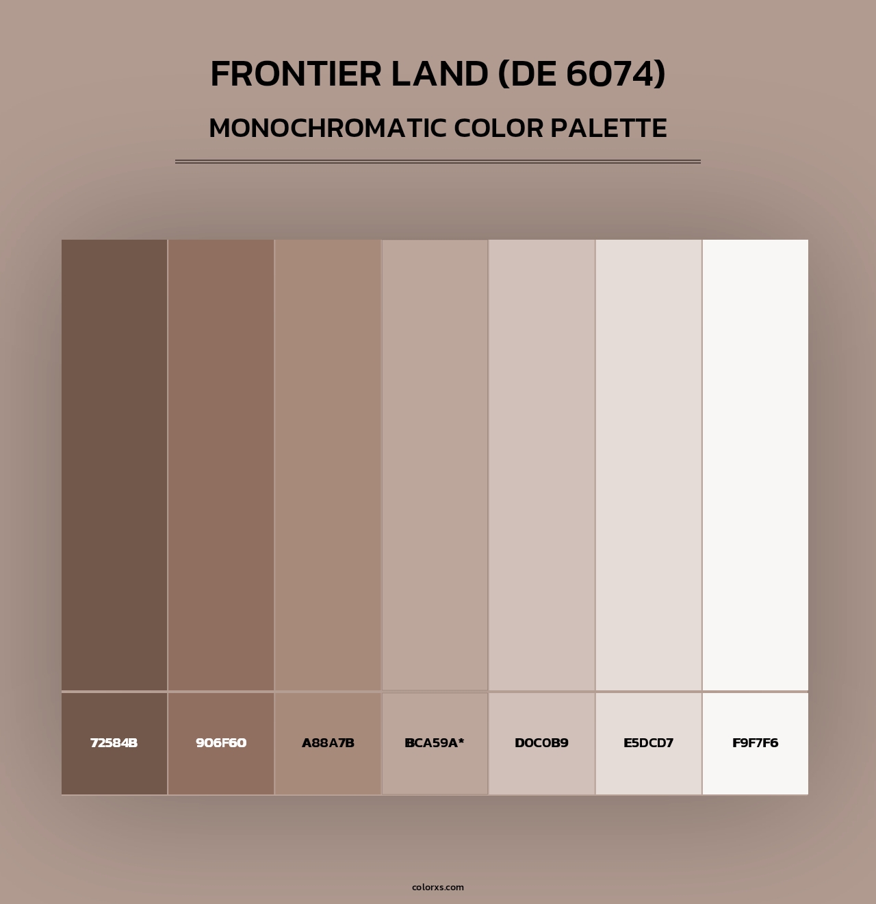 Frontier Land (DE 6074) - Monochromatic Color Palette