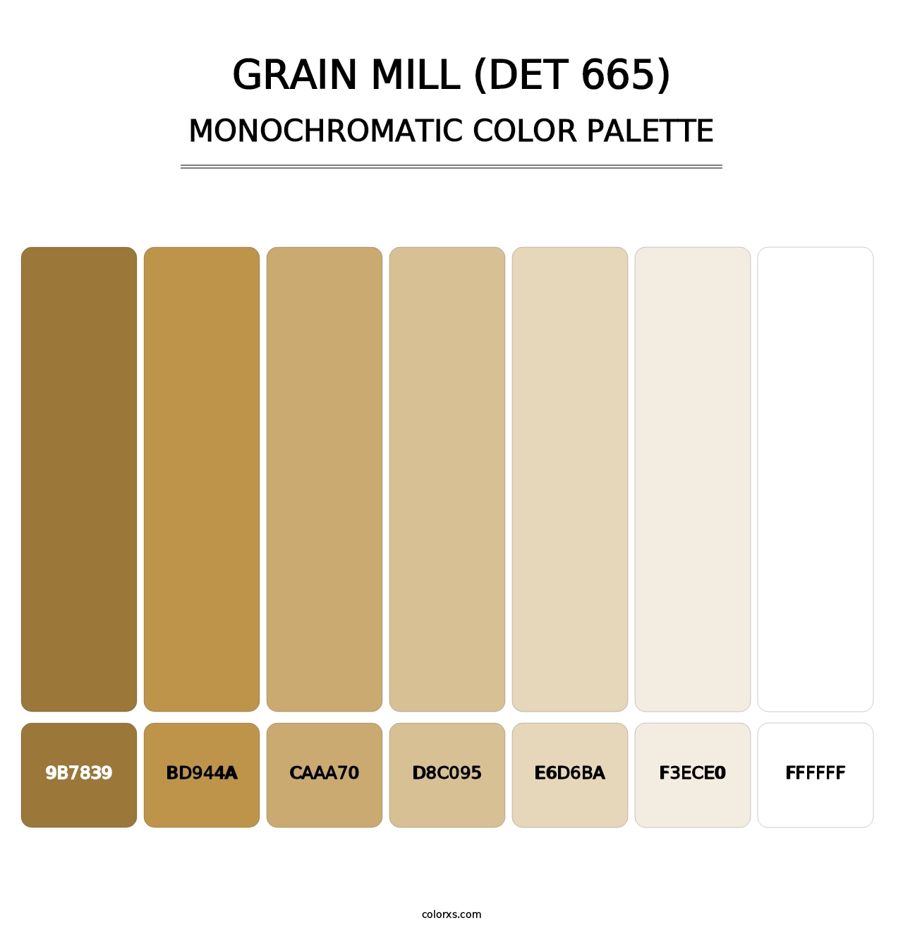 Grain Mill (DET 665) - Monochromatic Color Palette