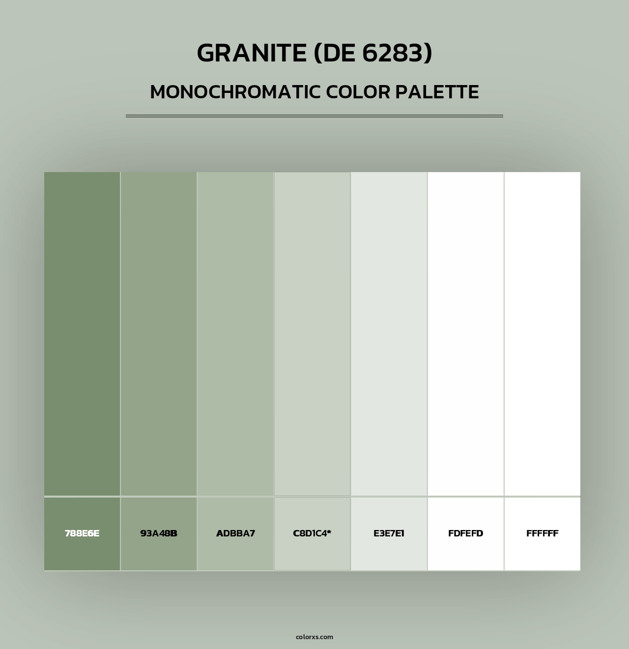 Granite (DE 6283) - Monochromatic Color Palette