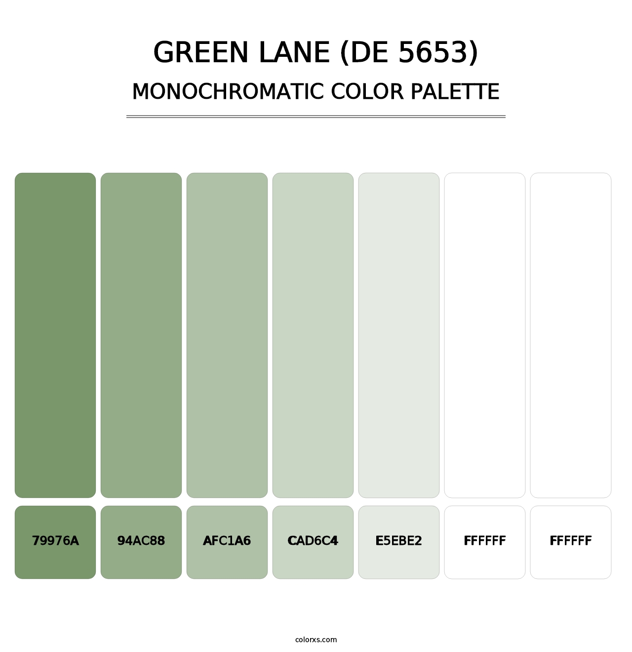Green Lane (DE 5653) - Monochromatic Color Palette