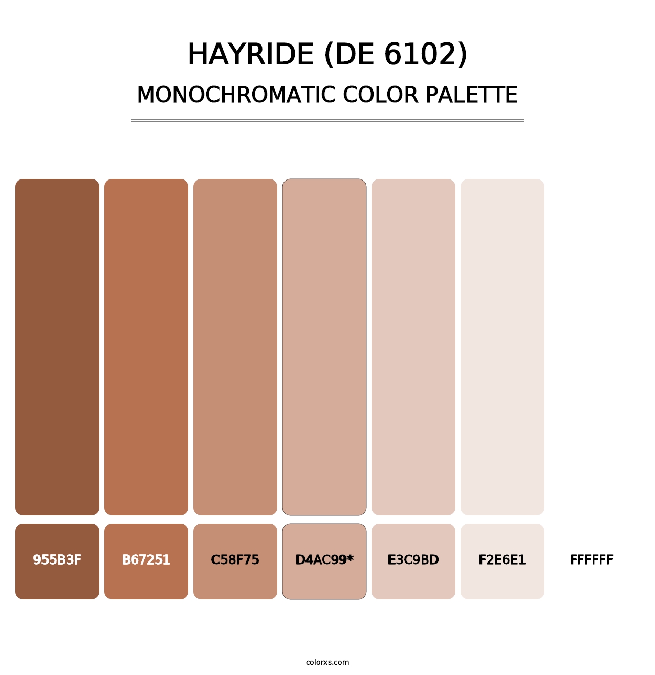 Hayride (DE 6102) - Monochromatic Color Palette