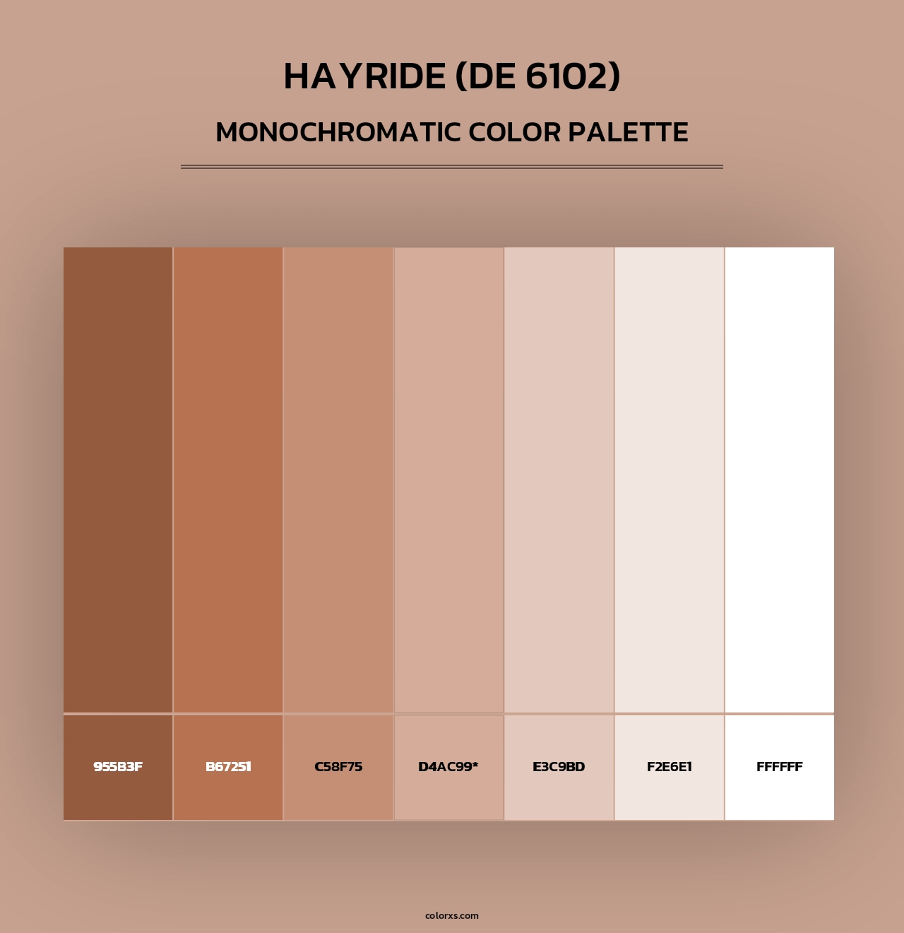 Hayride (DE 6102) - Monochromatic Color Palette