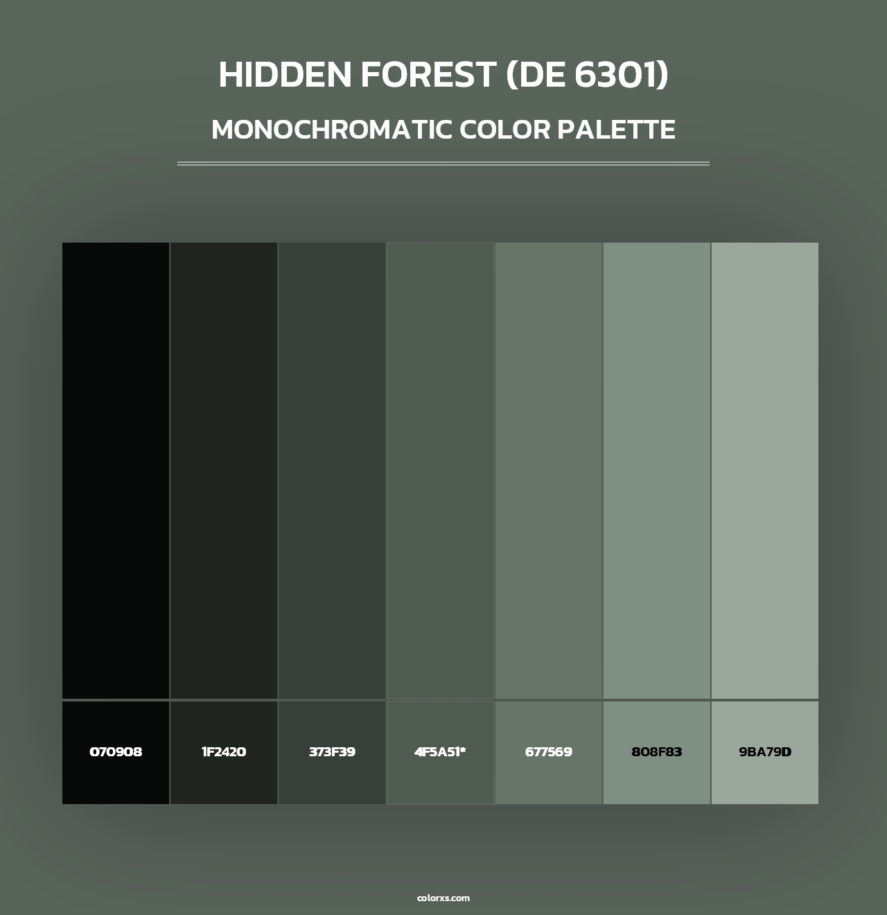 Hidden Forest (DE 6301) - Monochromatic Color Palette