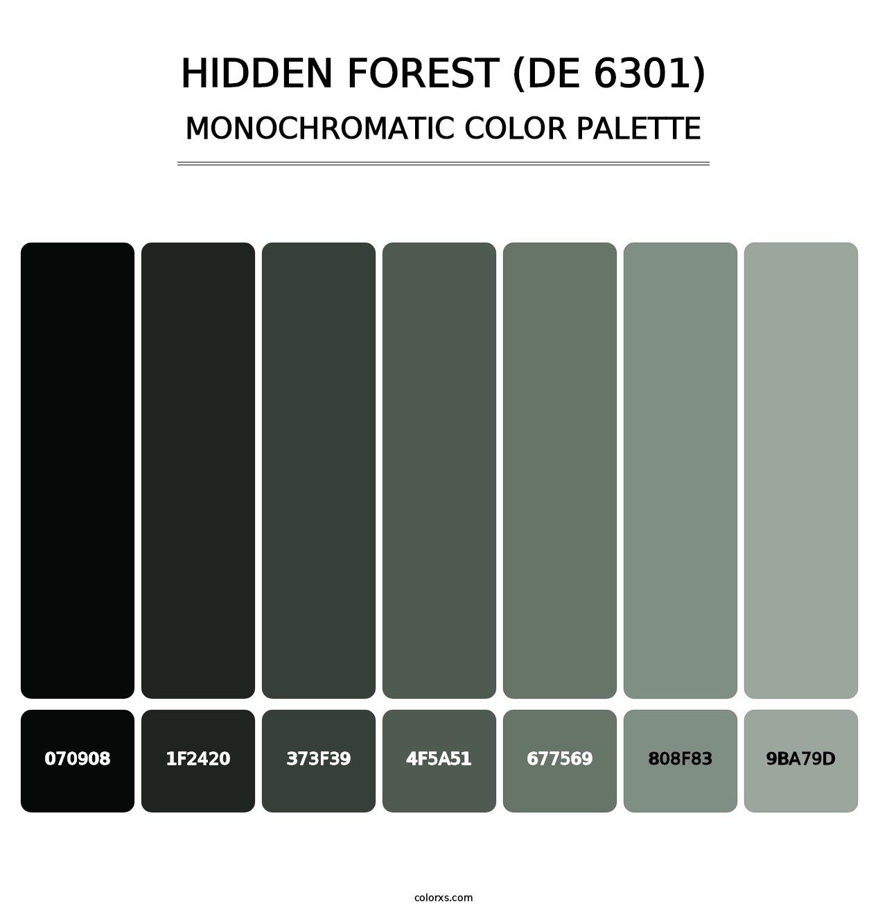 Hidden Forest (DE 6301) - Monochromatic Color Palette