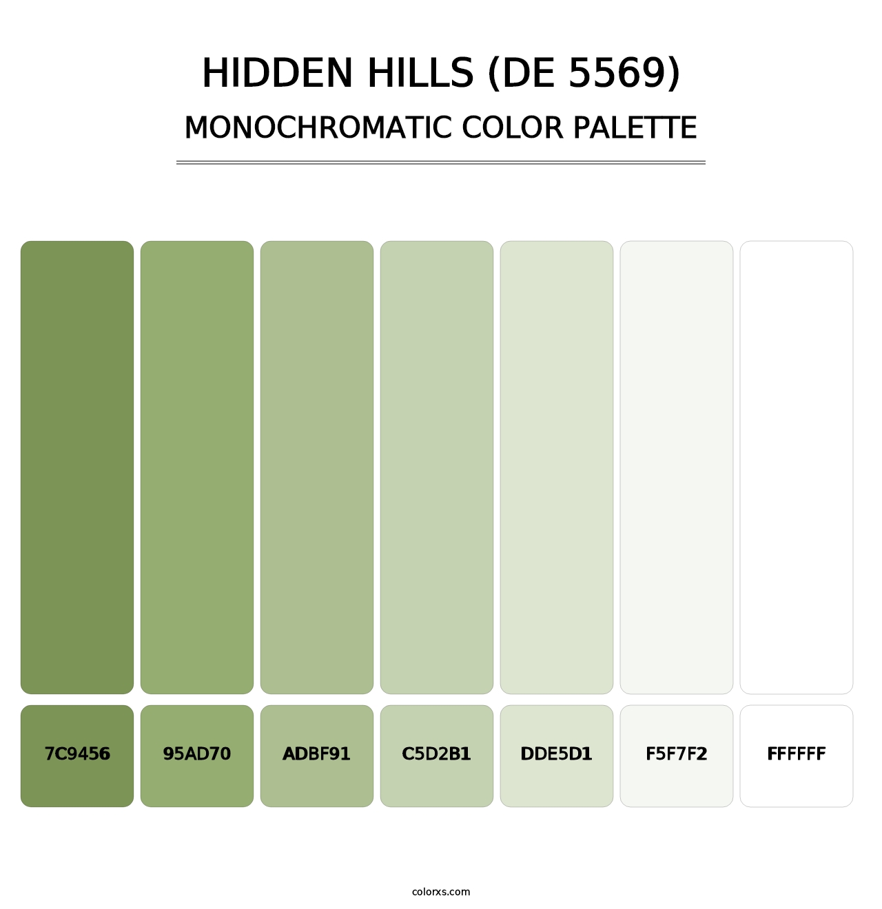 Hidden Hills (DE 5569) - Monochromatic Color Palette