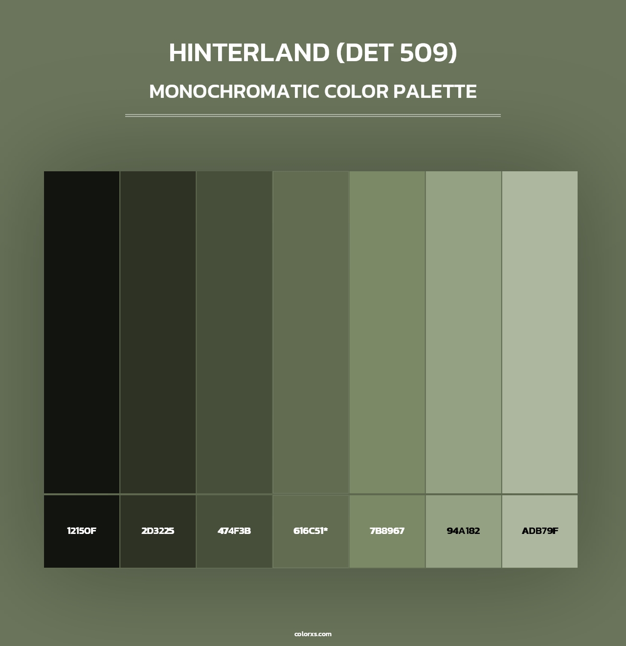 Hinterland (DET 509) - Monochromatic Color Palette