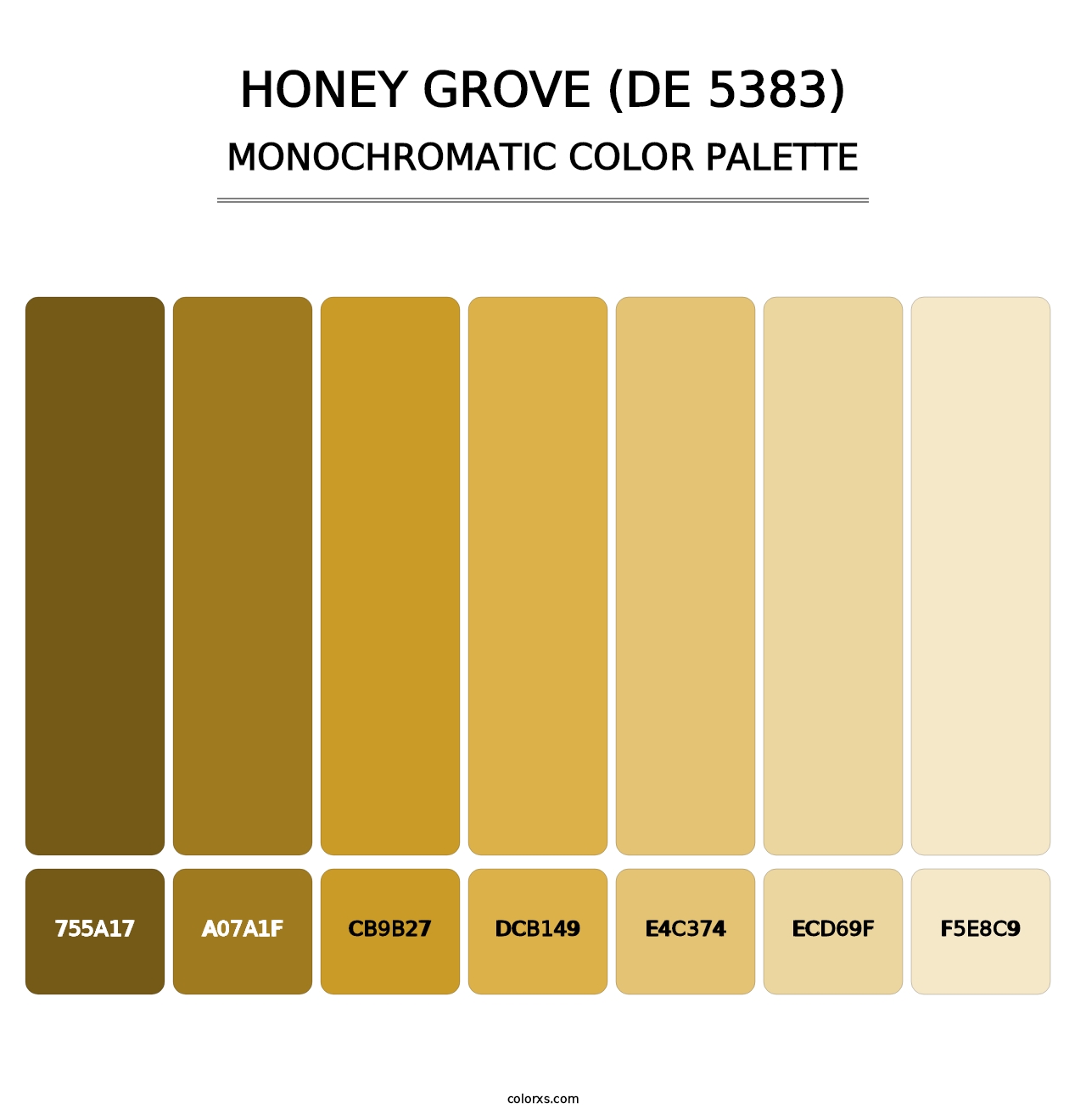 Honey Grove (DE 5383) - Monochromatic Color Palette