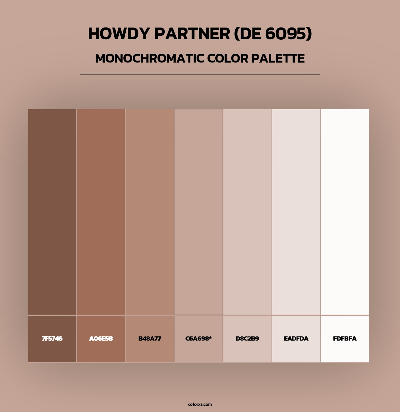 Howdy Partner (DE 6095) - Monochromatic Color Palette