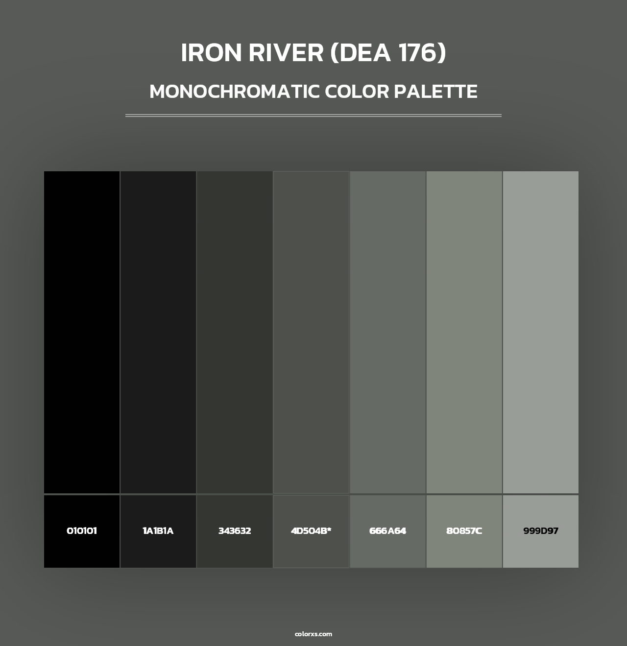 Iron River (DEA 176) - Monochromatic Color Palette