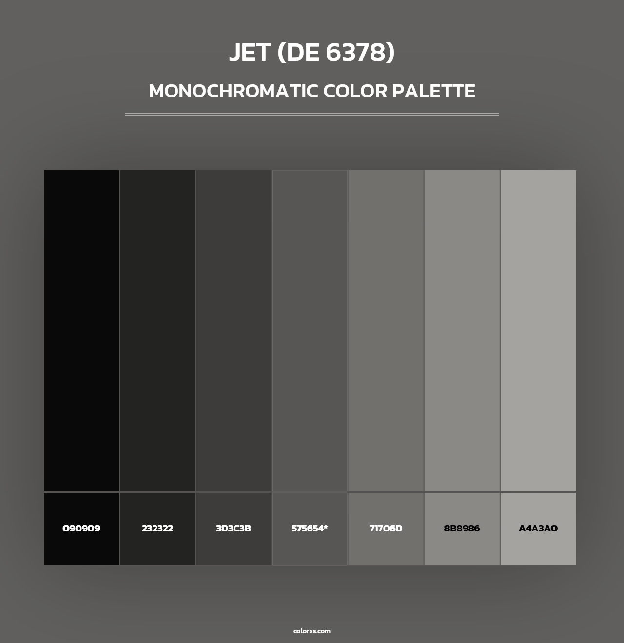 Jet (DE 6378) - Monochromatic Color Palette