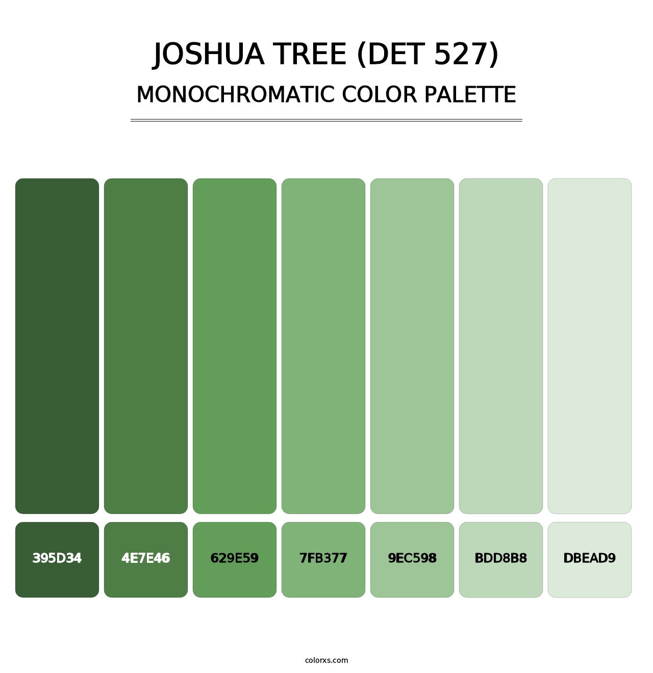 Joshua Tree (DET 527) - Monochromatic Color Palette