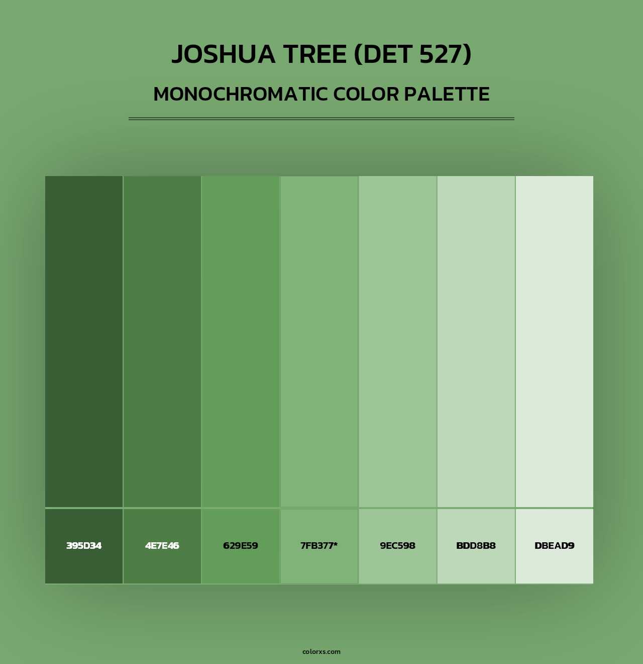 Joshua Tree (DET 527) - Monochromatic Color Palette