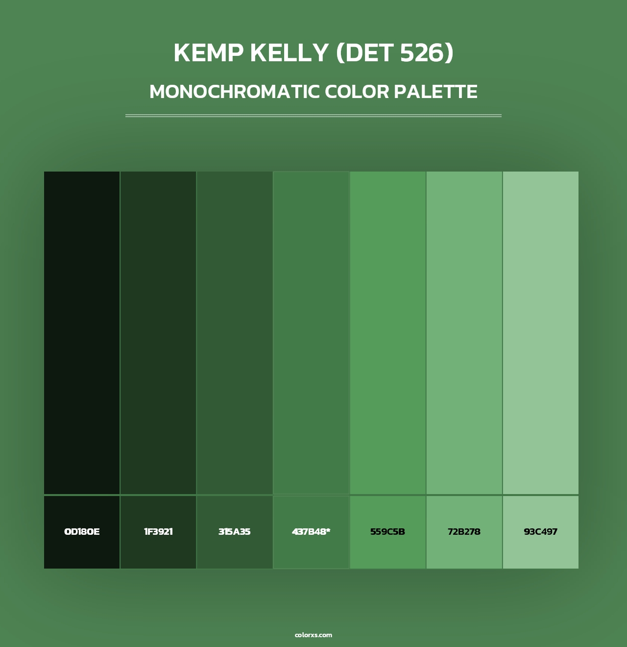 Kemp Kelly (DET 526) - Monochromatic Color Palette