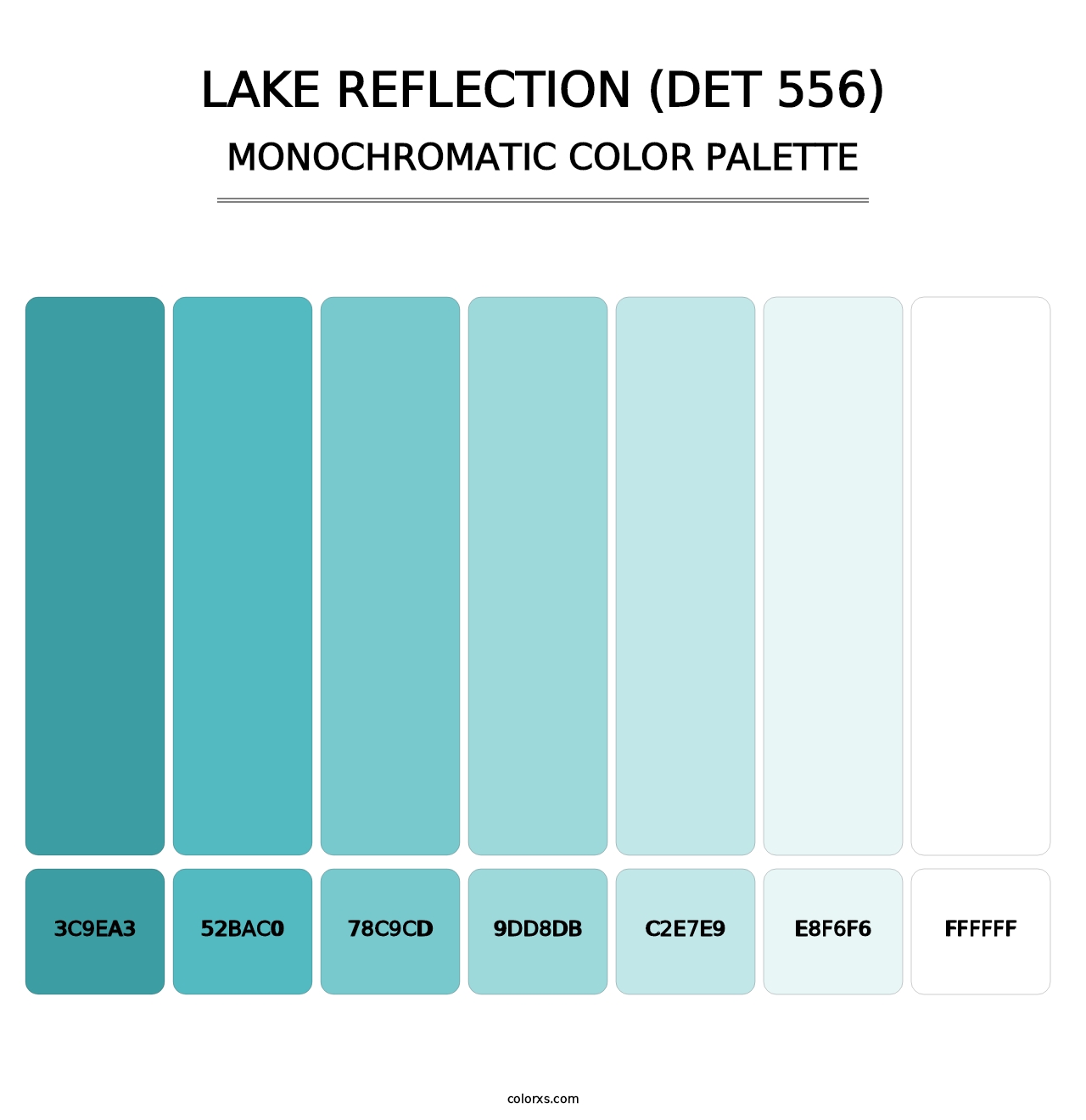 Lake Reflection (DET 556) - Monochromatic Color Palette