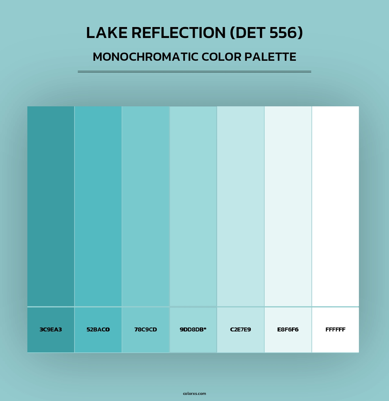 Lake Reflection (DET 556) - Monochromatic Color Palette