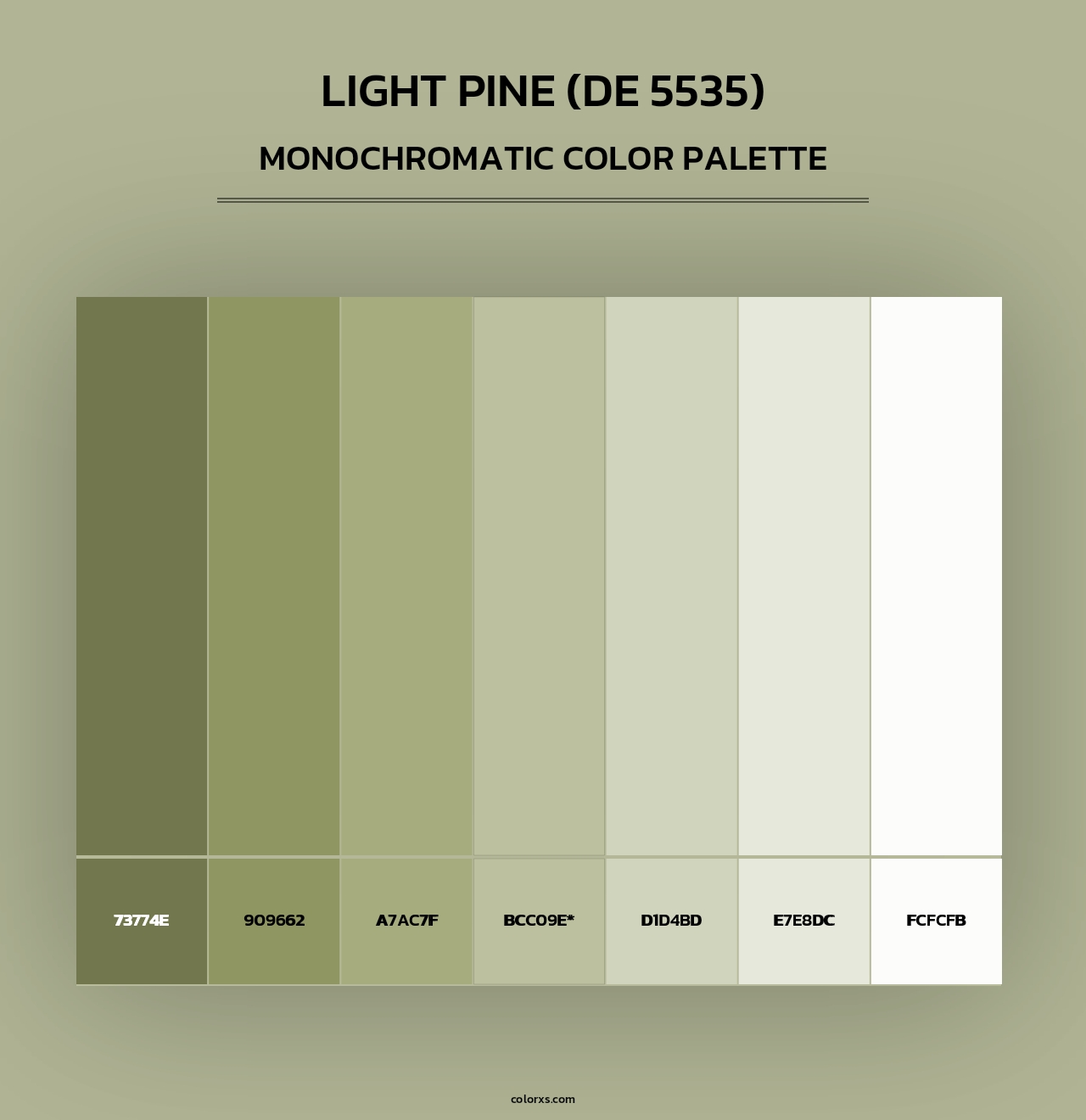 Light Pine (DE 5535) - Monochromatic Color Palette