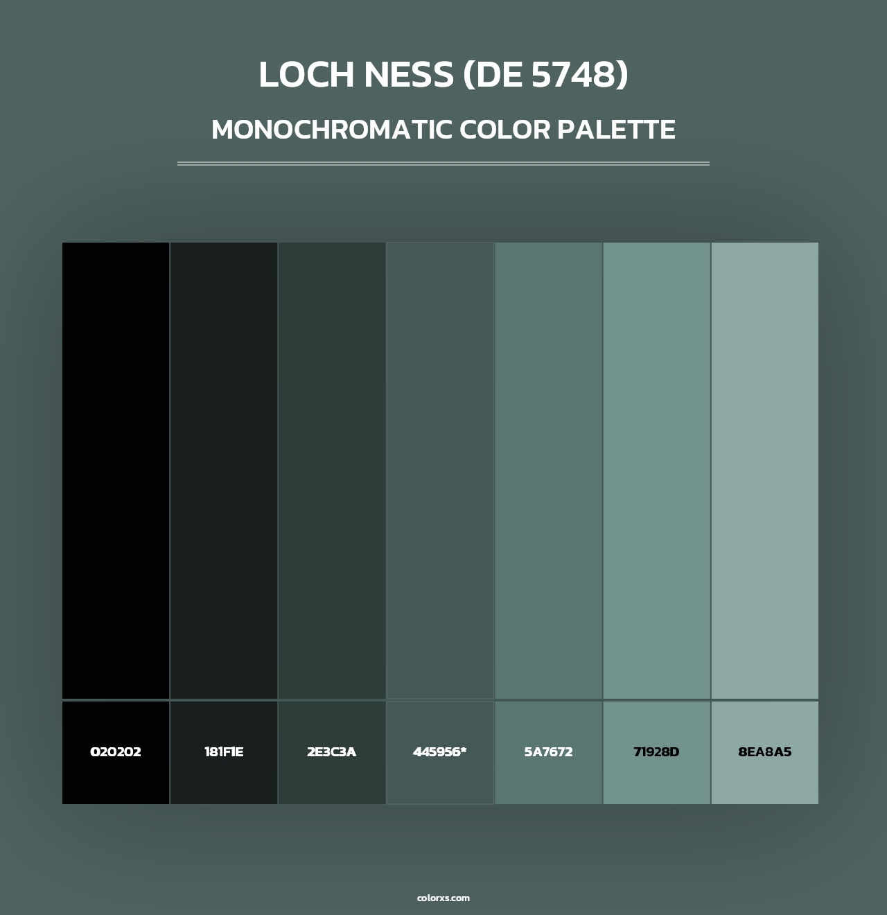Loch Ness (DE 5748) - Monochromatic Color Palette