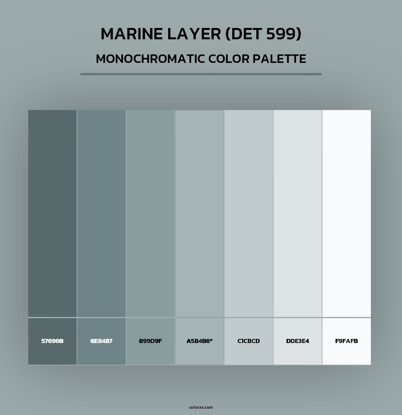 Marine Layer (DET 599) - Monochromatic Color Palette