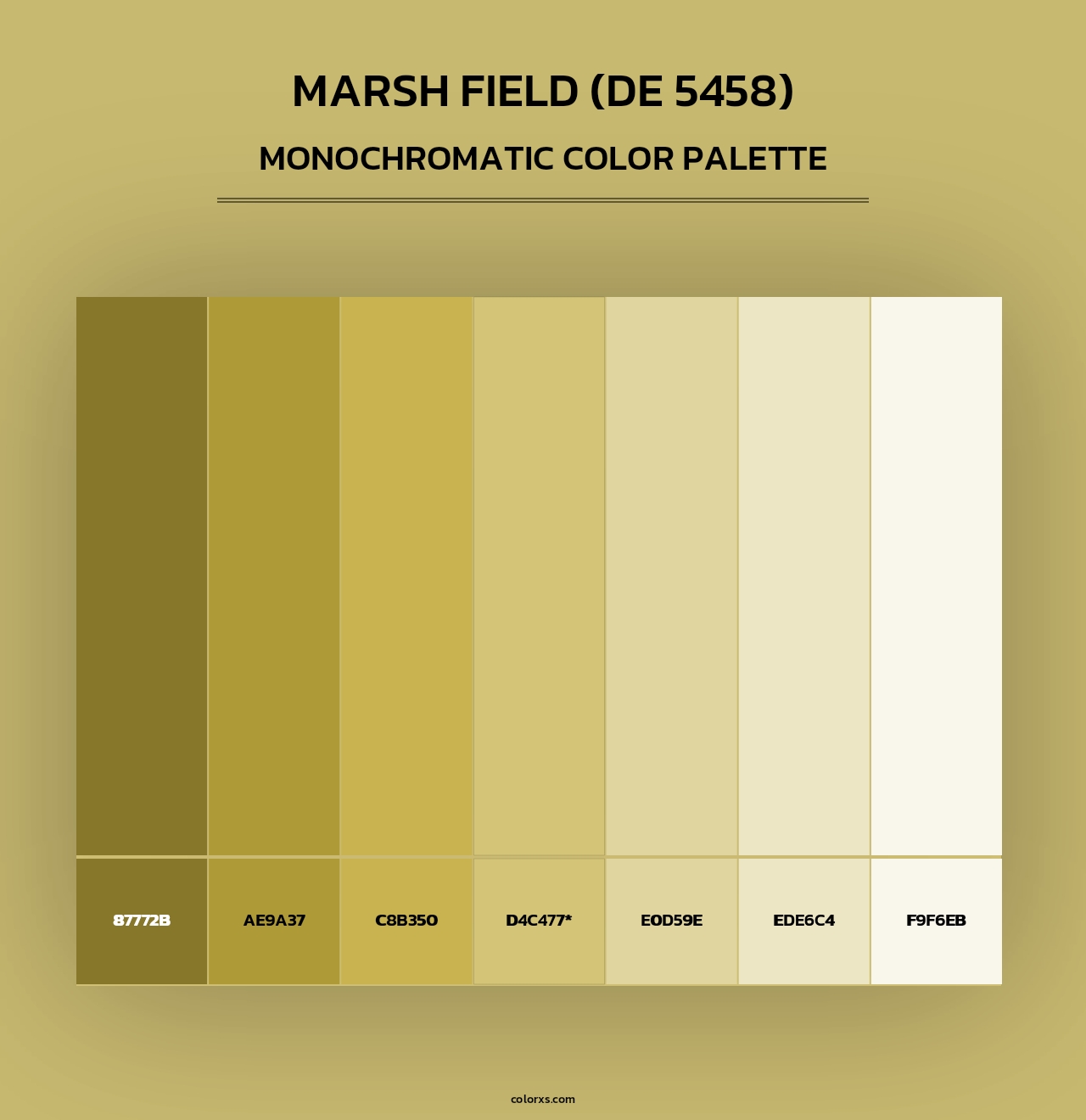 Marsh Field (DE 5458) - Monochromatic Color Palette