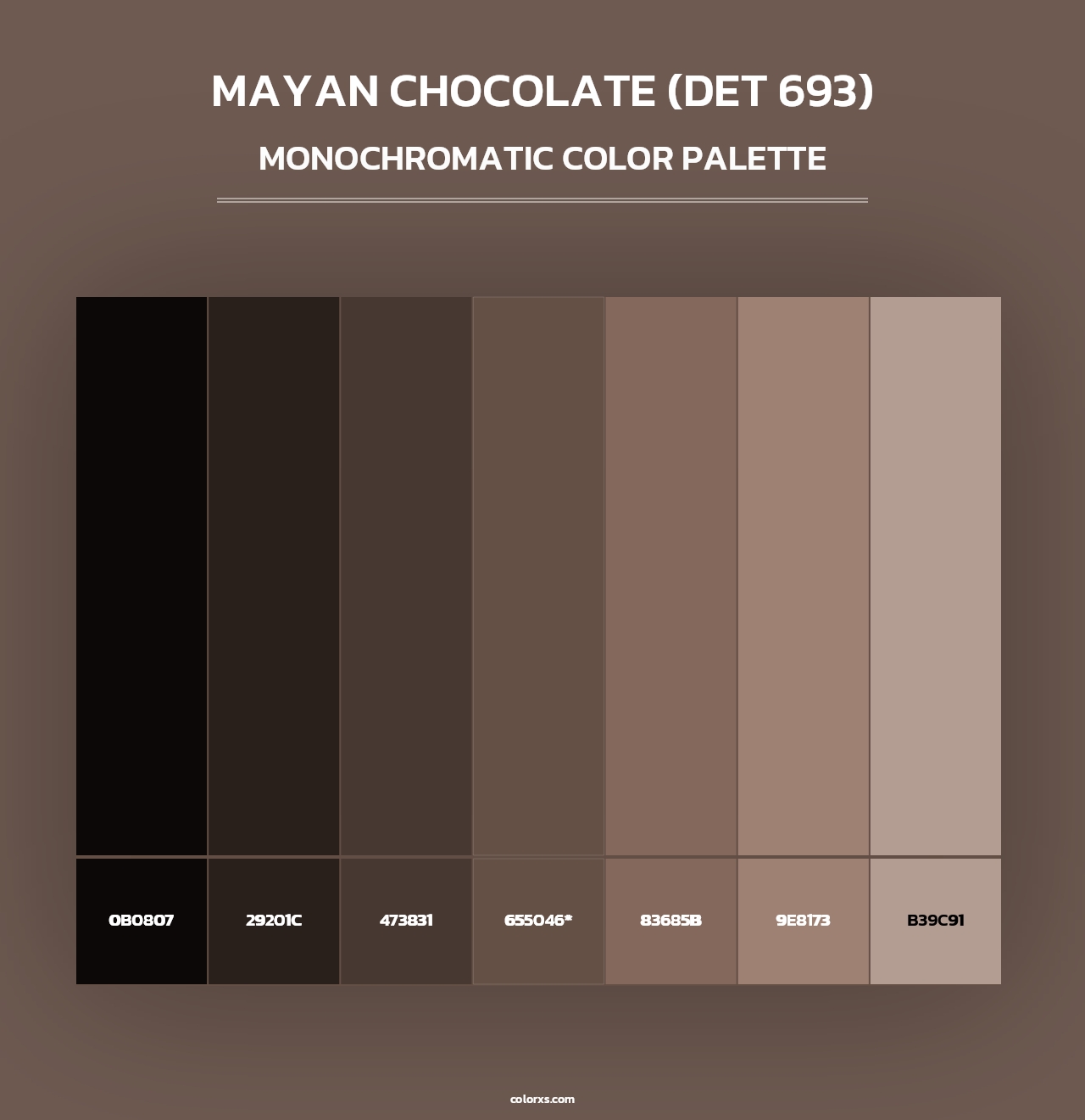 Mayan Chocolate (DET 693) - Monochromatic Color Palette