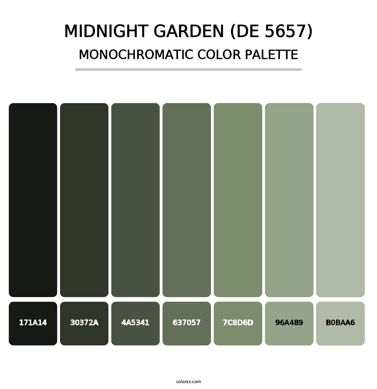 Midnight Garden (DE 5657) - Monochromatic Color Palette