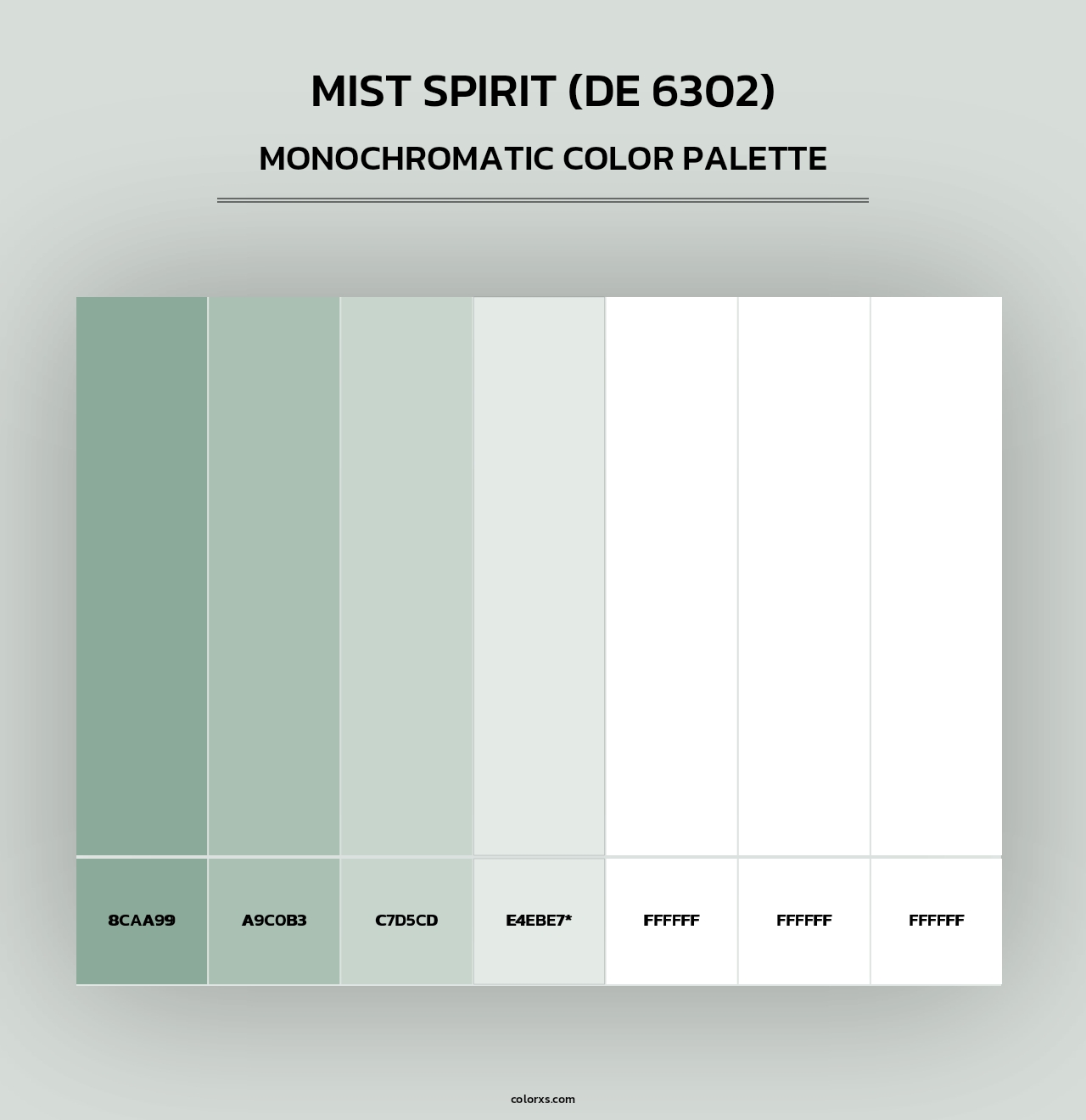 Mist Spirit (DE 6302) - Monochromatic Color Palette