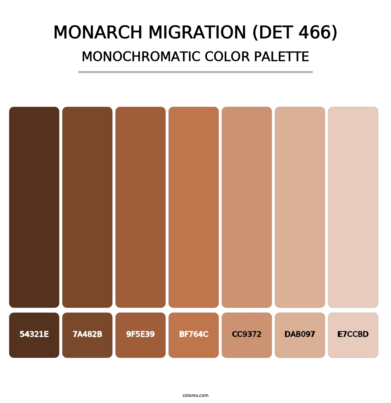 Monarch Migration (DET 466) - Monochromatic Color Palette