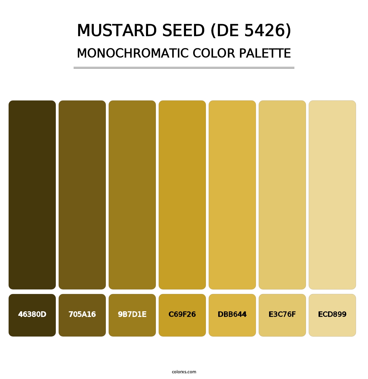 Mustard Seed (DE 5426) - Monochromatic Color Palette