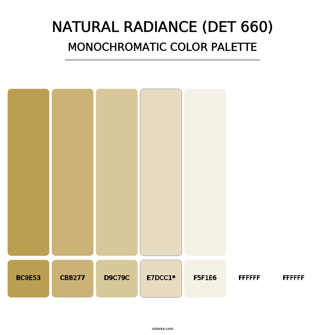 Natural Radiance (DET 660) - Monochromatic Color Palette