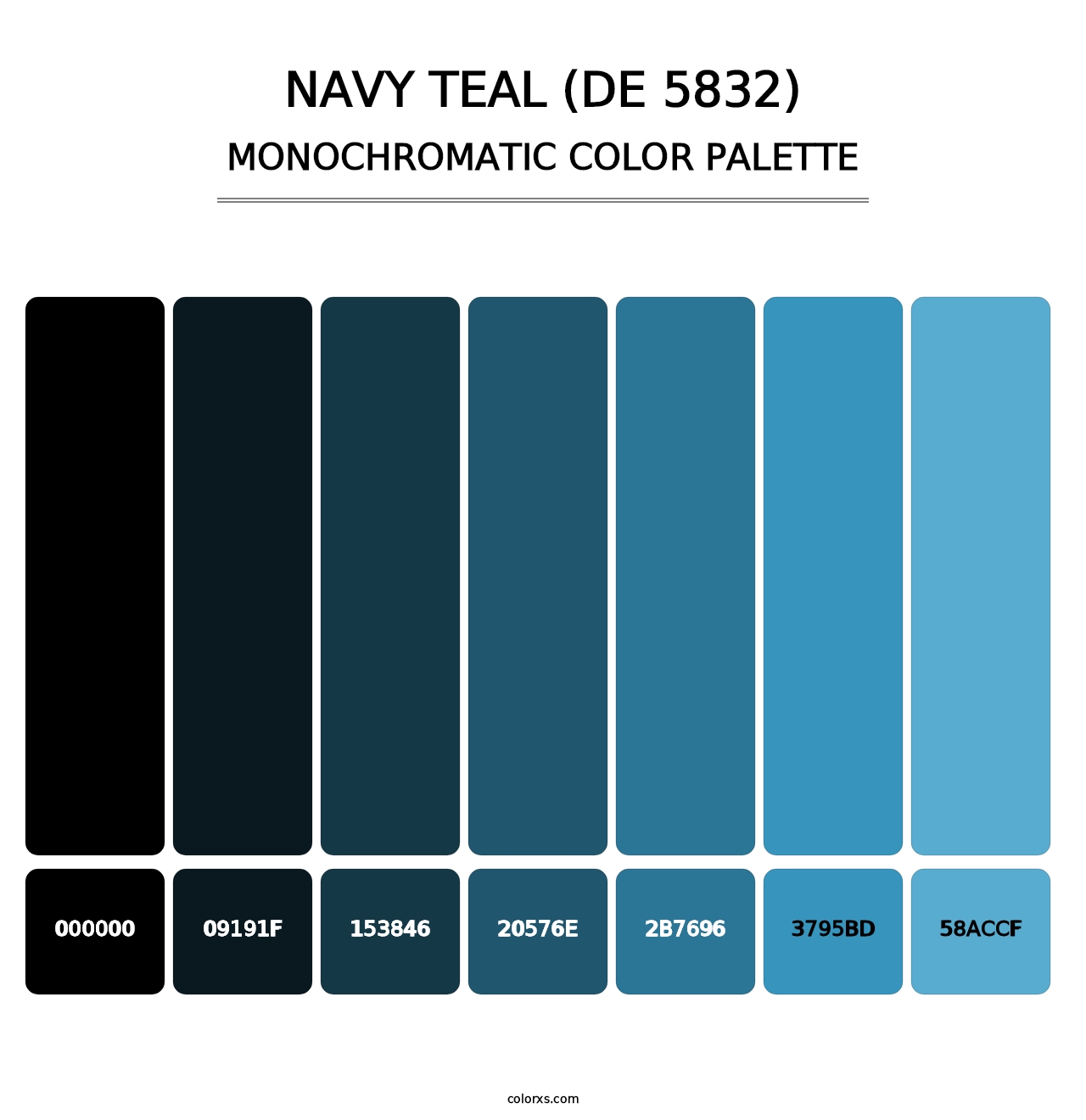 Navy Teal (DE 5832) - Monochromatic Color Palette